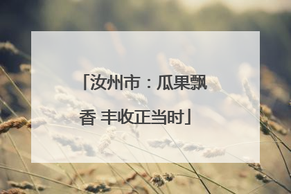 汝州市：瓜果飘香 丰收正当时