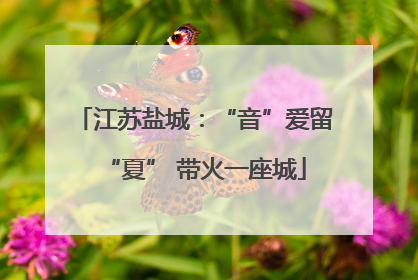 江苏盐城：“音”爱留“夏” 带火一座城