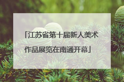 江苏省第十届新人美术作品展览在南通开幕