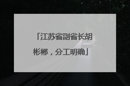 江苏省副省长胡彬郴,分工明确