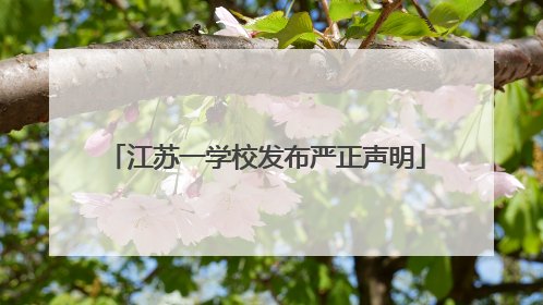 江苏一学校发布严正声明