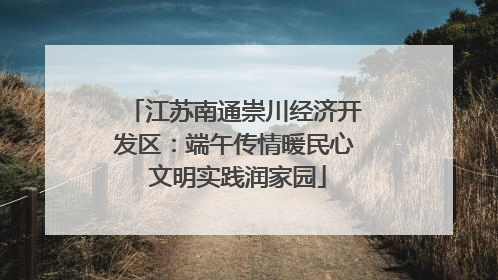 江苏南通崇川经济开发区：端午传情暖民心 文明实践润家园