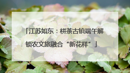 江苏如东：栟茶古镇端午解锁农文旅融合“新花样”