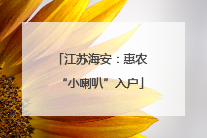 江苏海安：惠农“小喇叭”入户
