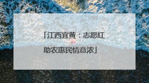 江西宜黄：志愿红助农惠民情意浓