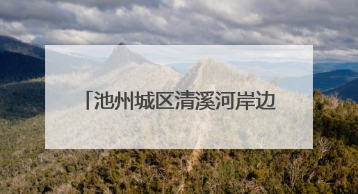 池州城区清溪河岸边现众多“梅花桩” 部门回应市民关切