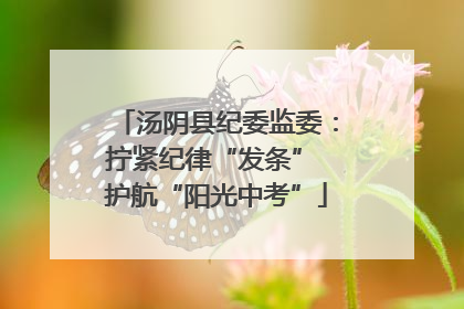 汤阴县纪委监委：拧紧纪律“发条” 护航“阳光中考”