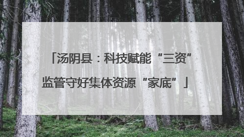 汤阴县：科技赋能“三资”监管守好集体资源“家底”