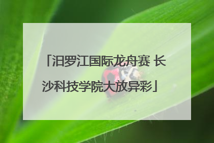 汨罗江国际龙舟赛 长沙科技学院大放异彩