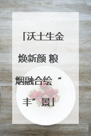 沃土生金焕新颜 粮烟融合绘“丰”景
