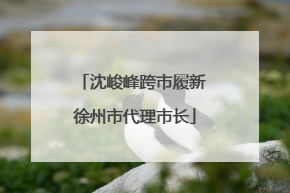 沈峻峰跨市履新徐州市代理市长