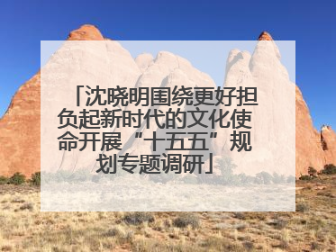 沈晓明围绕更好担负起新时代的文化使命开展“十五五”规划专题调研