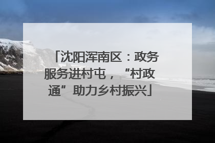 沈阳浑南区：政务服务进村屯，“村政通”助力乡村振兴