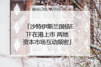 沙特伊斯兰国债ETF在港上市 两地资本市场互动频密