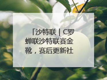 沙特联｜C罗蝉联沙特联赛金靴，赛后更新社媒暗示离队：这个章节结束了