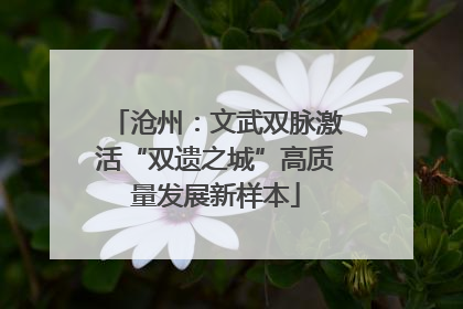 沧州：文武双脉激活“双遗之城”高质量发展新样本