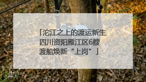 沱江之上的渡运新生 四川资阳雁江区6艘渡船焕新“上岗”