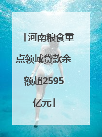 河南粮食重点领域贷款余额超2595亿元