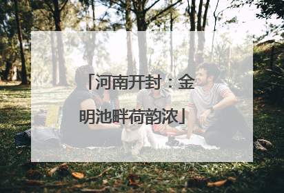 河南开封：金明池畔荷韵浓