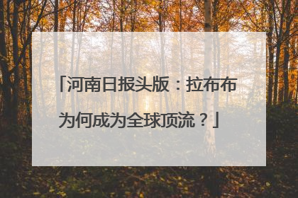 河南日报头版：拉布布为何成为全球顶流？
