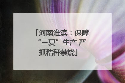 河南淮滨：保障“三夏”生产 严抓秸秆禁烧