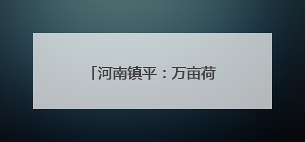 河南镇平：万亩荷花铺就乡村振兴路