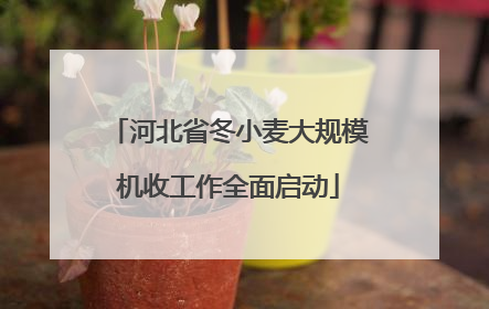 河北省冬小麦大规模机收工作全面启动