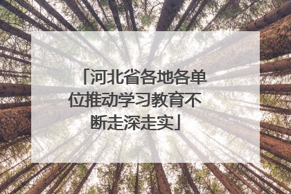 河北省各地各单位推动学习教育不断走深走实