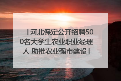 河北保定公开招聘500名大学生农业职业经理人 助推农业强市建设