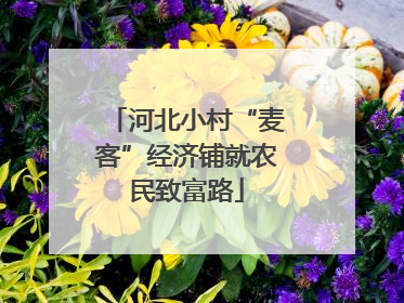 河北小村“麦客”经济铺就农民致富路