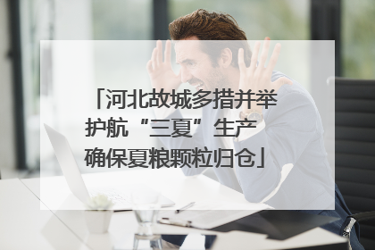 河北故城多措并举护航“三夏”生产 确保夏粮颗粒归仓