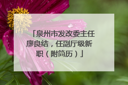 泉州市发改委主任廖良结，任副厅级新职（附简历）