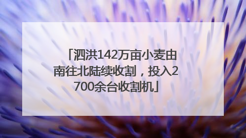 泗洪142万亩小麦由南往北陆续收割，投入2700余台收割机