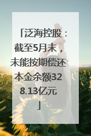 泛海控股：截至5月末，未能按期偿还本金余额328.13亿元