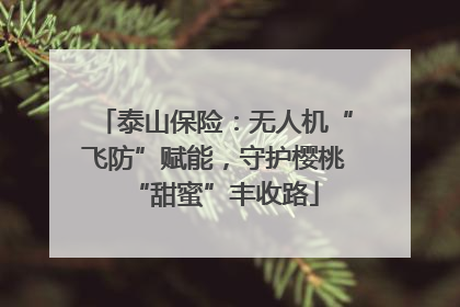 泰山保险：无人机“飞防”赋能，守护樱桃“甜蜜”丰收路