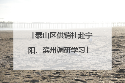 泰山区供销社赴宁阳、滨州调研学习