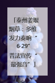 泰州姜堰烟草：多维发力奏响“6·29”普法宣传“最强音”