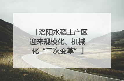 洛阳水稻主产区迎来规模化、机械化“二次变革”
