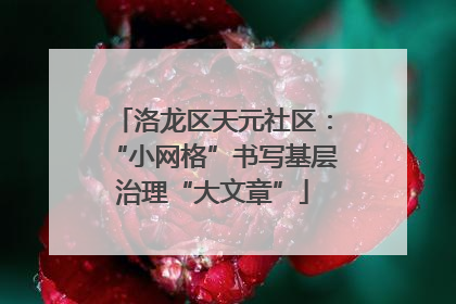 洛龙区天元社区：“小网格”书写基层治理“大文章”