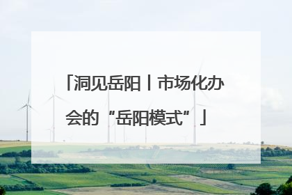 洞见岳阳丨市场化办会的“岳阳模式”