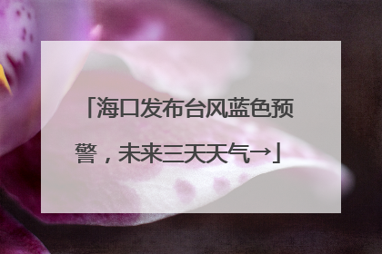 海口发布台风蓝色预警，未来三天天气→