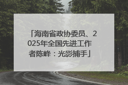 海南省政协委员、2025年全国先进工作者陈峰：光影捕手