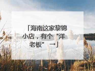 海南这家黎锦小店，有个“洋老板” →