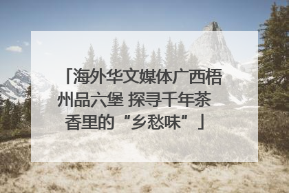 海外华文媒体广西梧州品六堡 探寻千年茶香里的“乡愁味”