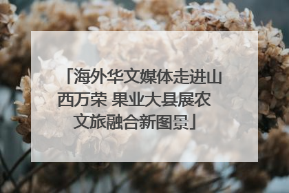 海外华文媒体走进山西万荣 果业大县展农文旅融合新图景