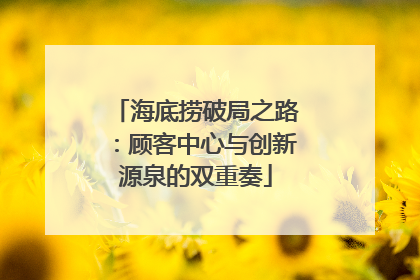 海底捞破局之路：顾客中心与创新源泉的双重奏