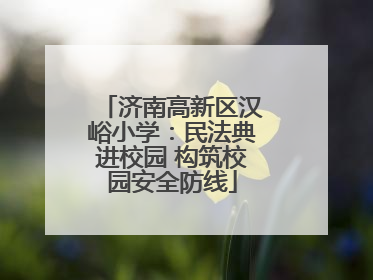 济南高新区汉峪小学：民法典进校园 构筑校园安全防线