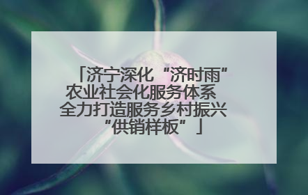 济宁深化“济时雨”农业社会化服务体系 全力打造服务乡村振兴“供销样板”