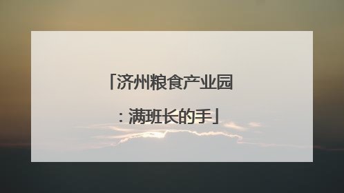 济州粮食产业园：满班长的手
