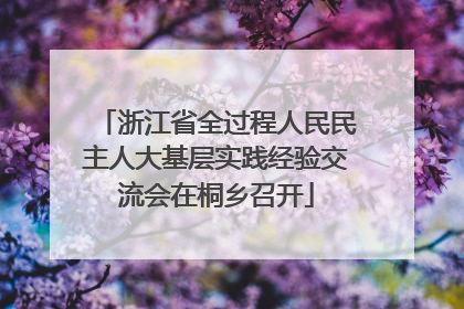 浙江省全过程人民民主人大基层实践经验交流会在桐乡召开